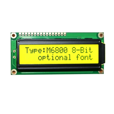 Prodotto standard Chip on Board Display a cristalli liquidi monocromatico 16X2 caratteri